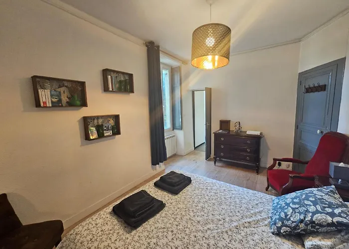 Proche Centre Calme Jardin Prive נאנט